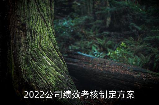 2022公司績效考核制定方案