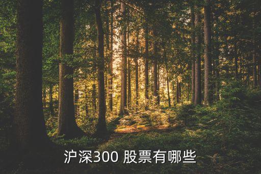 滬深300 股票有哪些