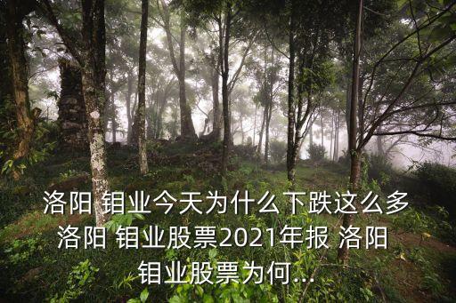  洛陽(yáng) 鉬業(yè)今天為什么下跌這么多 洛陽(yáng) 鉬業(yè)股票2021年報(bào) 洛陽(yáng) 鉬業(yè)股票為何...