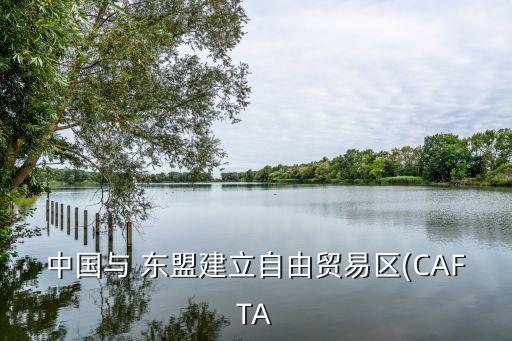 中國(guó)與 東盟建立自由貿(mào)易區(qū)(CAFTA