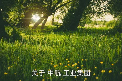 關(guān)于 中航 工業(yè)集團(tuán)