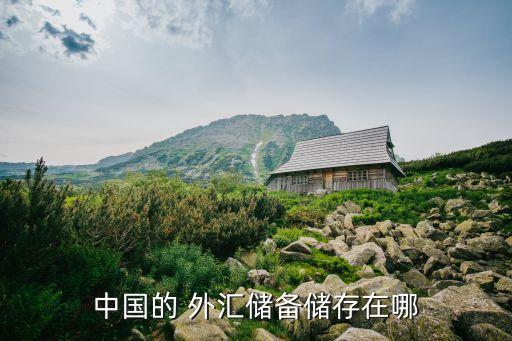 中國的 外匯儲備儲存在哪