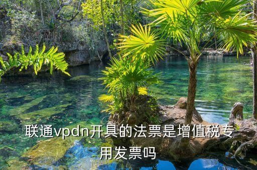  聯(lián)通vpdn開具的法票是增值稅專用發(fā)票嗎