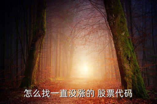 怎么找一直沒(méi)漲的 股票代碼