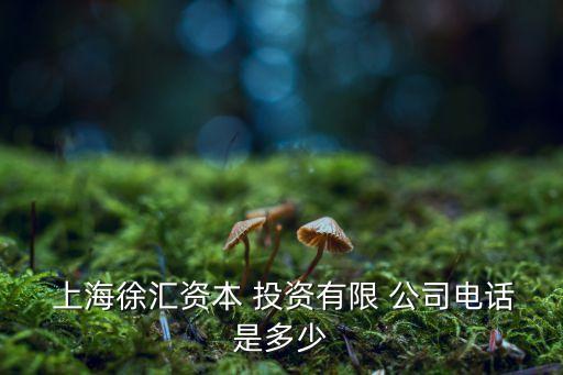 上海民晟投資有限責任公司,貴州省貴民發(fā)展投資有限責任公司