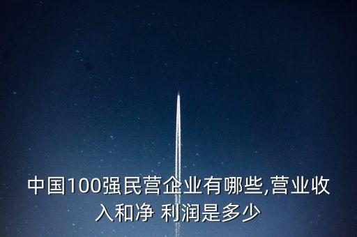 中國100強(qiáng)民營企業(yè)有哪些,營業(yè)收入和凈 利潤是多少