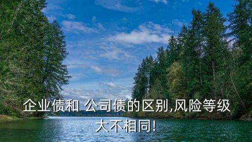  企業(yè)債和 公司債的區(qū)別,風(fēng)險(xiǎn)等級大不相同!