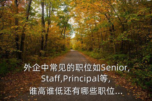  外企中常見(jiàn)的職位如Senior,Staff,Principal等,誰(shuí)高誰(shuí)低還有哪些職位...