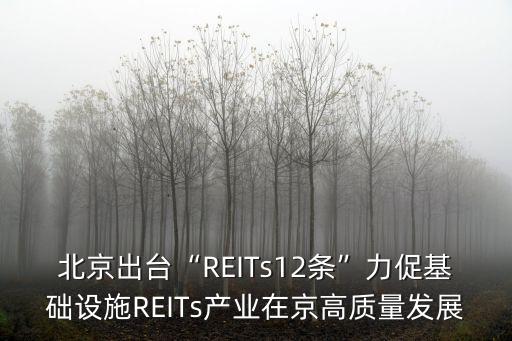 中國reits梳理,中國9只reits