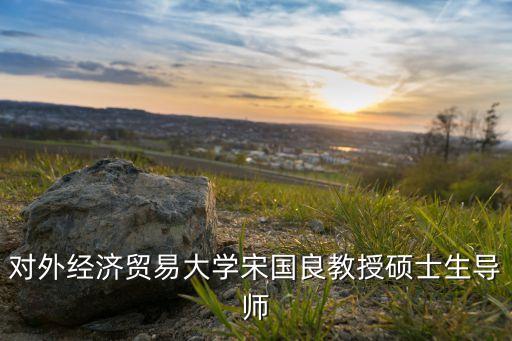 對外經(jīng)濟貿(mào)易大學宋國良教授碩士生導(dǎo)師