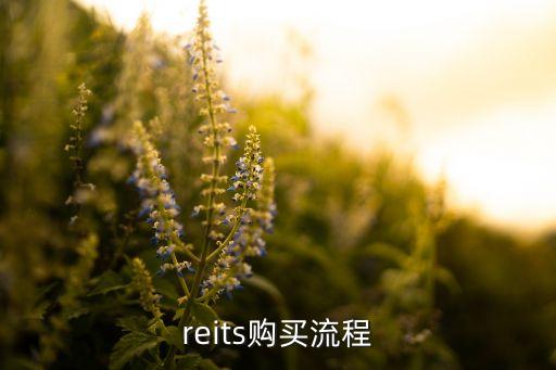 場(chǎng)內(nèi)認(rèn)購(gòu)新基金,認(rèn)購(gòu)新基金到底好不好