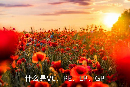 什么是VC、PE、LP、GP