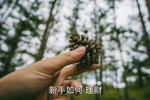  新手如何 理財(cái)