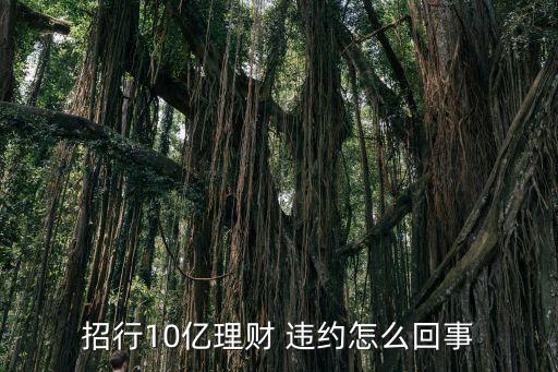 招行10億理財 違約怎么回事