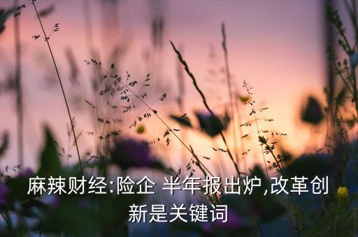 麻辣財經:險企 半年報出爐,改革創(chuàng)新是關鍵詞