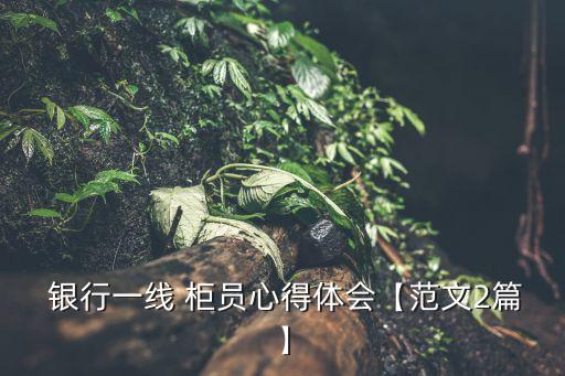  銀行一線 柜員心得體會【范文2篇】