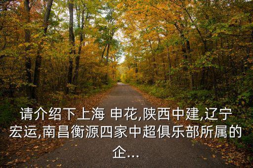 請介紹下上海 申花,陜西中建,遼寧宏運,南昌衡源四家中超俱樂部所屬的企...