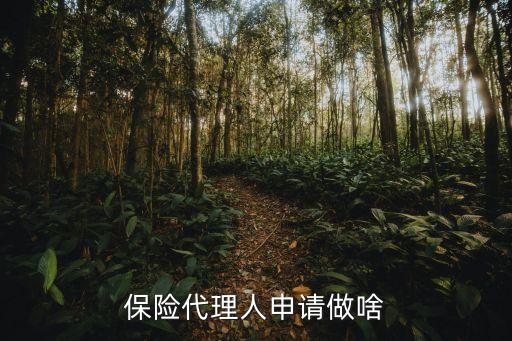 保險(xiǎn)代理人申請做啥