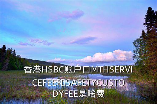 香港HSBC賬戶口MTHSERVICEFEE和SAFETYCUSTODYFEE是啥費