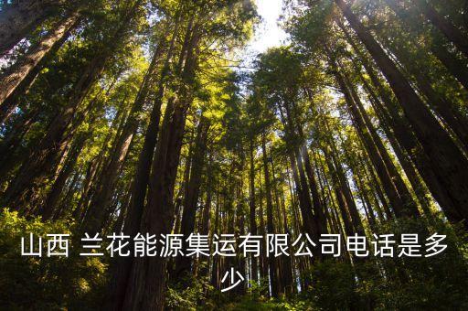 山西 蘭花能源集運有限公司電話是多少