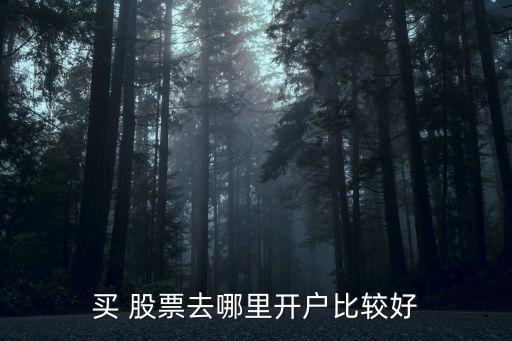 怎么網(wǎng)購(gòu)股票,網(wǎng)購(gòu)龍頭股票有哪些