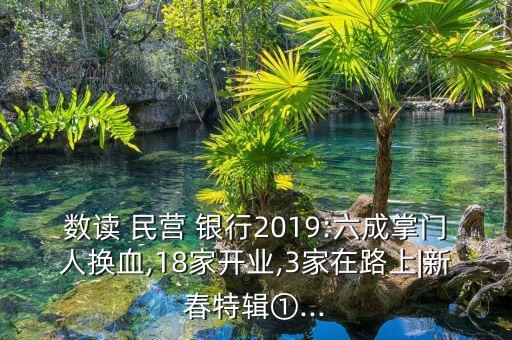 數讀 民營 銀行2019:六成掌門人換血,18家開業(yè),3家在路上|新春特輯①...