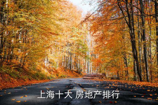 上海十大 房地產(chǎn)排行