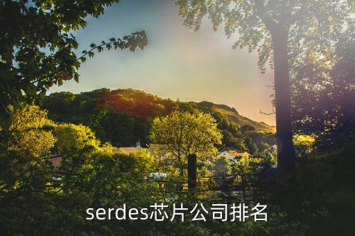 serdes芯片公司排名