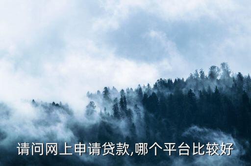 請問網(wǎng)上申請貸款,哪個平臺比較好