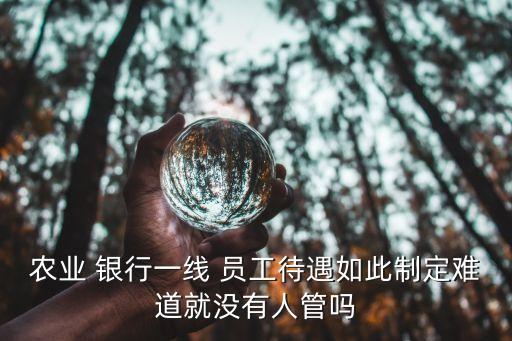 農(nóng)業(yè) 銀行一線 員工待遇如此制定難道就沒(méi)有人管嗎