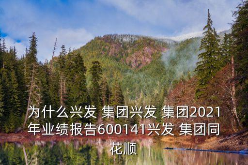 為什么興發(fā) 集團(tuán)興發(fā) 集團(tuán)2021年業(yè)績(jī)報(bào)告600141興發(fā) 集團(tuán)同花順