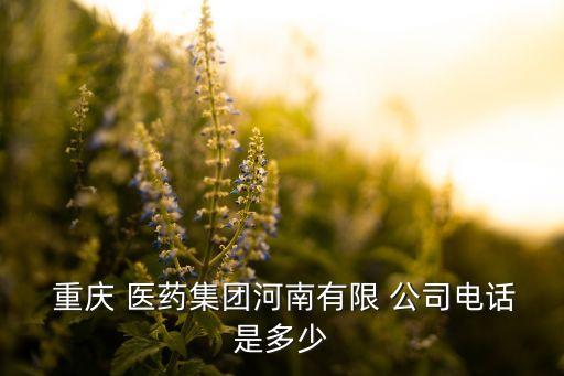  重慶 醫(yī)藥集團河南有限 公司電話是多少