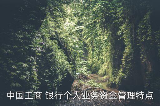 工行私人銀行優(yōu)缺點(diǎn),工行800萬私人銀行