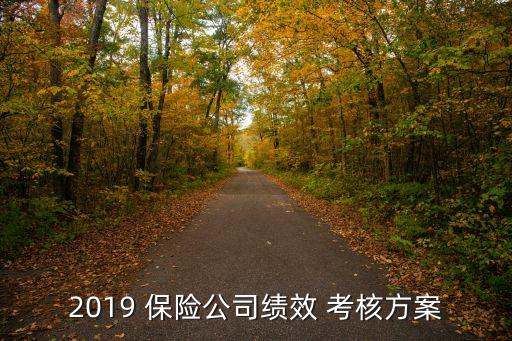 2019 保險(xiǎn)公司績(jī)效 考核方案