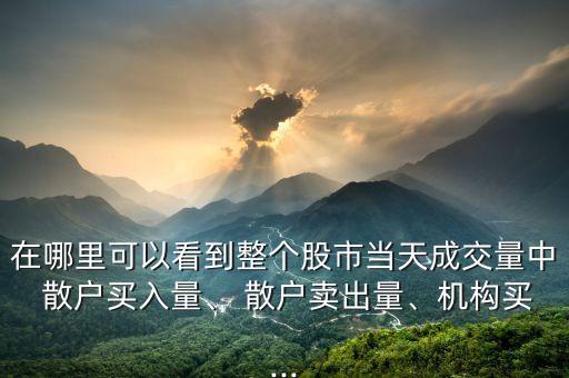 在哪里可以看到整個股市當天成交量中 散戶買入量、 散戶賣出量、機構買...