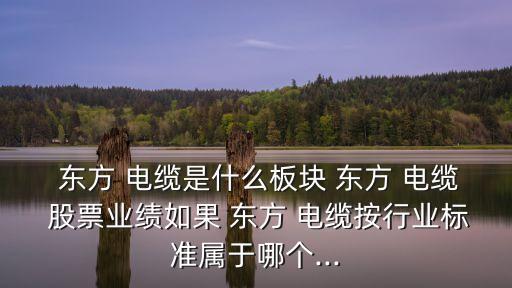  東方 電纜是什么板塊 東方 電纜 股票業(yè)績?nèi)绻?東方 電纜按行業(yè)標準屬于哪個...