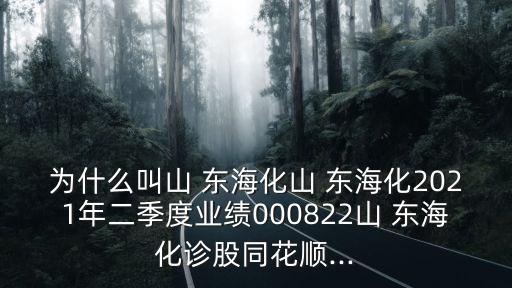 為什么叫山 東?；?東?；?021年二季度業(yè)績000822山 東?；\股同花順...