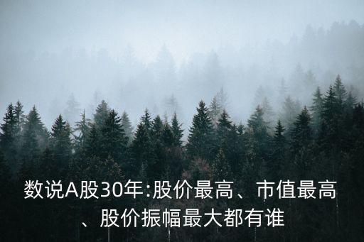 數(shù)說(shuō)A股30年:股價(jià)最高、市值最高、股價(jià)振幅最大都有誰(shuí)