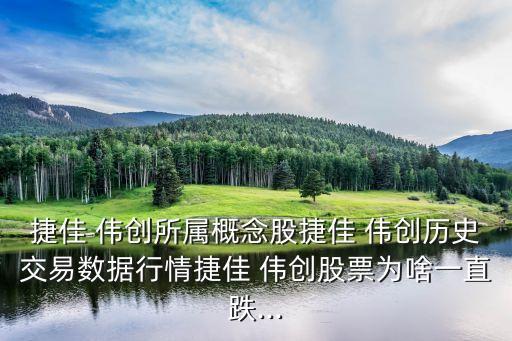 捷佳 偉創(chuàng)所屬概念股捷佳 偉創(chuàng)歷史交易數(shù)據(jù)行情捷佳 偉創(chuàng)股票為啥一直跌...