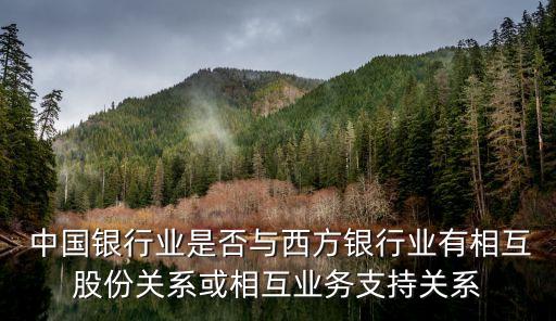  中國銀行業(yè)是否與西方銀行業(yè)有相互股份關系或相互業(yè)務支持關系