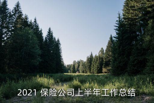 2021 保險(xiǎn)公司上半年工作總結(jié)