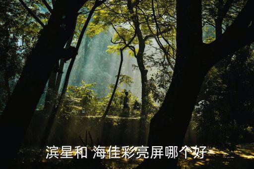 濱星和 海佳彩亮屏哪個(gè)好