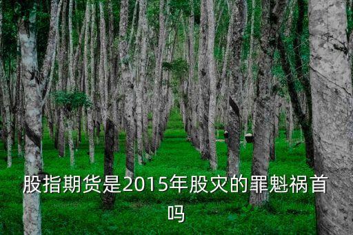 2015年投資風(fēng)險