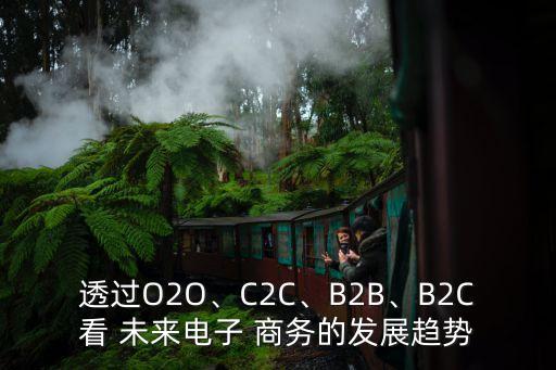 透過O2O、C2C、B2B、B2C看 未來電子 商務(wù)的發(fā)展趨勢