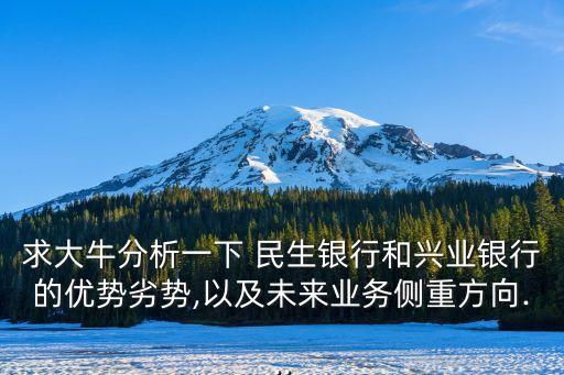 求大牛分析一下 民生銀行和興業(yè)銀行的優(yōu)勢劣勢,以及未來業(yè)務(wù)側(cè)重方向...