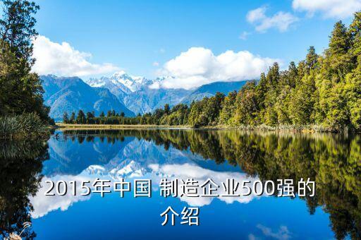 2015年中國 制造企業(yè)500強的介紹