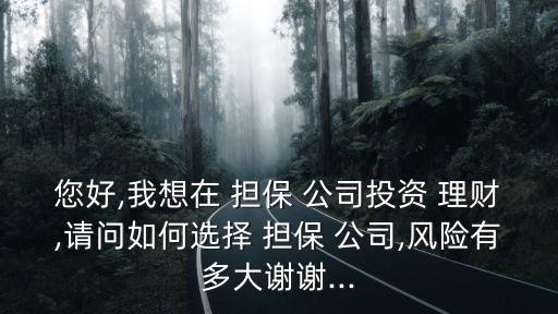 您好,我想在 擔(dān)保 公司投資 理財(cái),請(qǐng)問(wèn)如何選擇 擔(dān)保 公司,風(fēng)險(xiǎn)有多大謝謝...