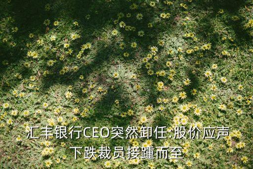  匯豐銀行CEO突然卸任:股價應(yīng)聲下跌裁員接踵而至