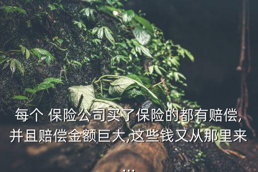 每個(gè) 保險(xiǎn)公司買了保險(xiǎn)的都有賠償,并且賠償金額巨大,這些錢(qián)又從那里來(lái)...