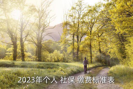 2023年個人 社保 繳費標準表